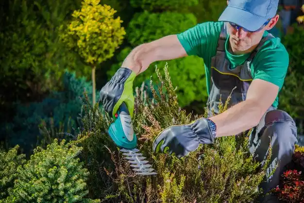 landscaping services Cloverport